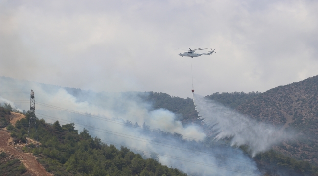 Hatay'da orman yangını çıktı