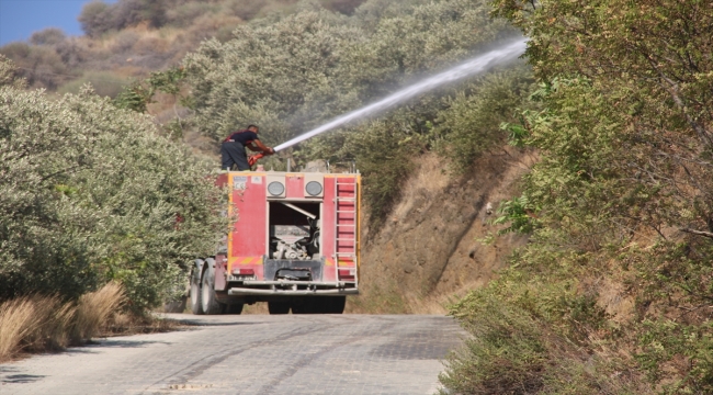 Hatay'da zeytin bahçesinde çıkan yangın söndürüldü