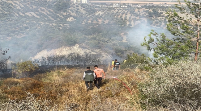 Hatay'da zeytinlik ve ormanlık alanda çıkan orman yangınına müdahale ediliyor