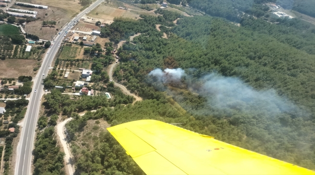 İzmir'de orman yangını kontrol altına alındı