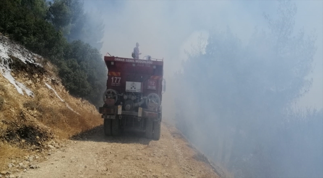 Kahramanmaraş'ta çıkan orman yangını kontrol altına alındı