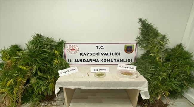 Kayseri'de evinde Hint keneviri yetiştiren kişi yakalandı 