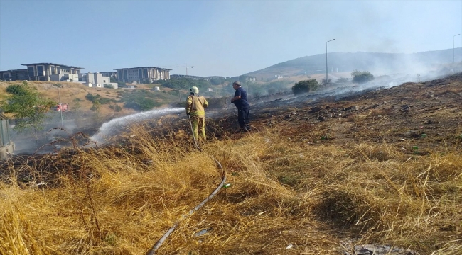 Maltepe'de otluk alanda çıkan yangın söndürüldü