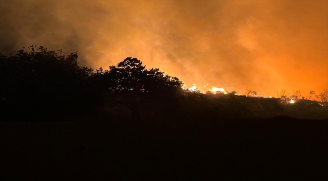 Marmara Adası'nda makilik alanda çıkan yangına müdahale ediliyor