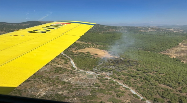 Muğla'da çıkan orman yangınına müdahale ediliyor