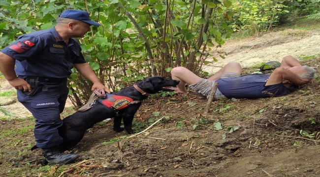 Ordu'da su kanalına düşerek yaralanan Alzheimer hastasını iz takip köpeği buldu