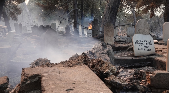 Tarım ve Orman Bakanlığından Çanakkale'deki orman yangınına ilişkin açıklama