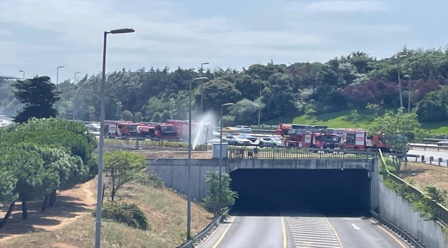 Üsküdar'da ağaçlık alanda çıkan yangın söndürüldü