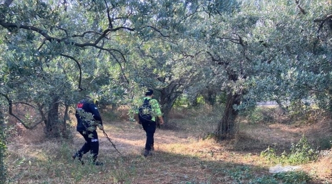 Yalova'da kaybolan öğretmen için arama çalışması başlatıldı