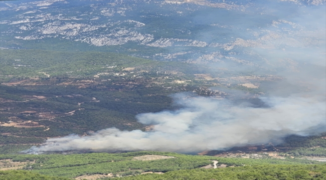 Alanya'da orman yangını çıktı