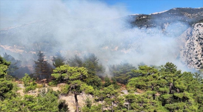 Antalya'nın Kaş ilçesinde orman yangını çıktı