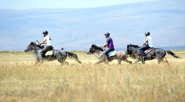 Ardahan'da "9. Rahvan At Yarışları ve 7. Doğu Anadolu Şampiyonası" yapıldı