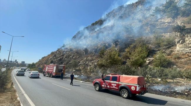 Aydın'da ağaçlık alanda çıkan yangına müdahale ediliyor