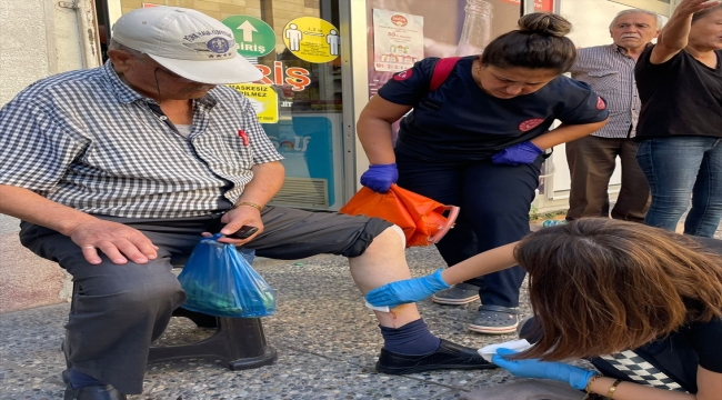 Aydın'da sahipsiz köpeğin saldırdığı kişi yaralandı