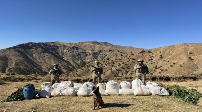 Bingöl'de 529 kilo 600 gram esrar ve 3 milyon 158 bin kök kenevir ele geçirildi