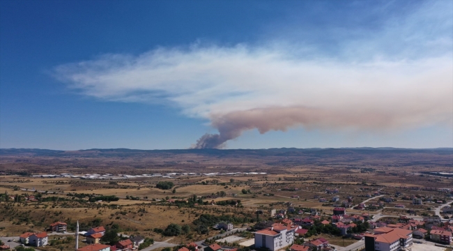 Bolu'da ormanlık alanda çıkan yangına müdahale ediliyor