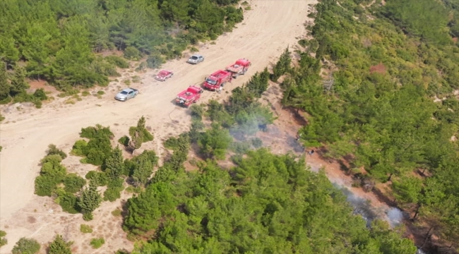 Çanakkale'de yıldırım düşmesi sonucu 6 noktada çıkan orman yangınlarından 5'i söndürüldü