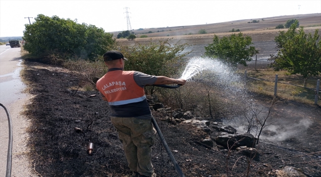 Edirne'de bir tarlada başlayıp meyve bahçesine sıçrayan anız yangını söndürüldü