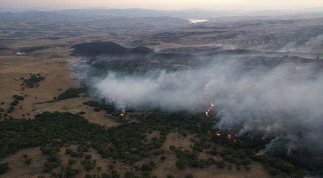 Elazığ'da ormanlık alanda çıkan yangın kontrol altına alındı