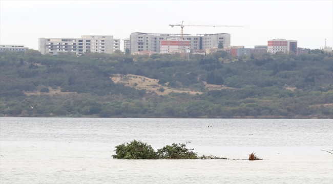 İstanbul'da sel ve su baskınları meydana geldi