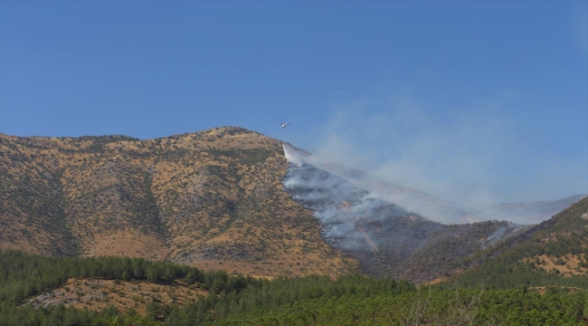 Kahramanmaraş'ta çıkan orman yangınına müdahale ediliyor