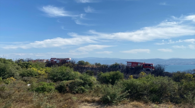 Kocaeli'de makilik alanda çıkan yangın söndürüldü