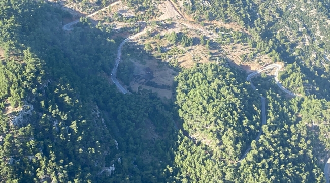 Muğla'da çıkan orman yangını söndürüldü