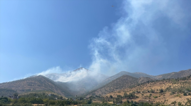 Kahramanmaraş'ta çıkan orman yangınına müdahale ediliyor