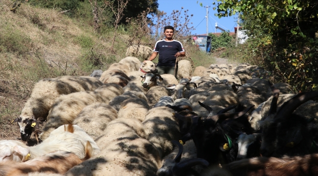 Köy hayatını tercih eden üniversite mezunu gencin hayali çiftlik kurmak