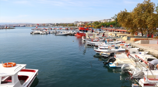 Marmara'da umduğunu bulamayan Tekirdağlı balıkçılar Karadeniz'e ağ atacak 