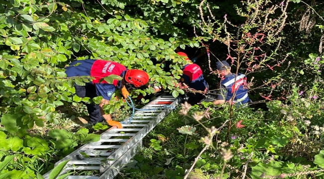 Ordu'da ormanlık alana devrilen motosikletin sürücüsü yaralandı