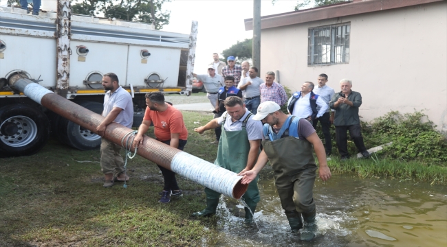 Samsun'da göl ve lagünlere 3 milyon 200 bin sazan yavrusu bırakıldı