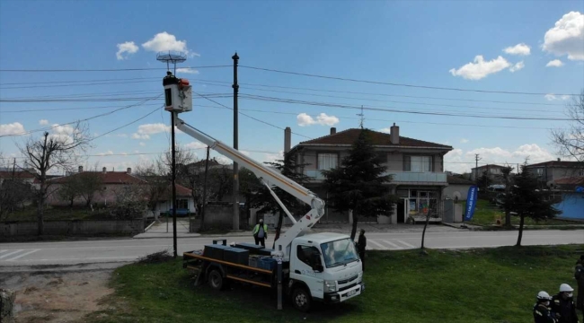 Trakya'da göçmen kuşların akıma kapılmaması için elektrik direklerine özel platformlar kuruldu