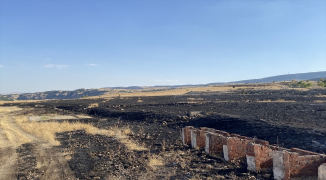 Tunceli'de kuru otlarla kaplı arazide çıkan yangın söndürüldü