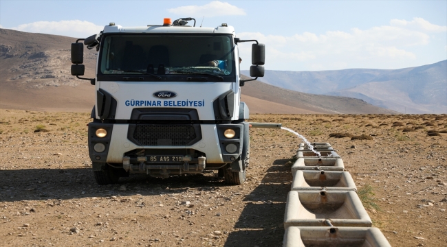 Van'da yayla dönüşü susuzluktan bitkin düşen koyunlara tankerlerle su taşındı