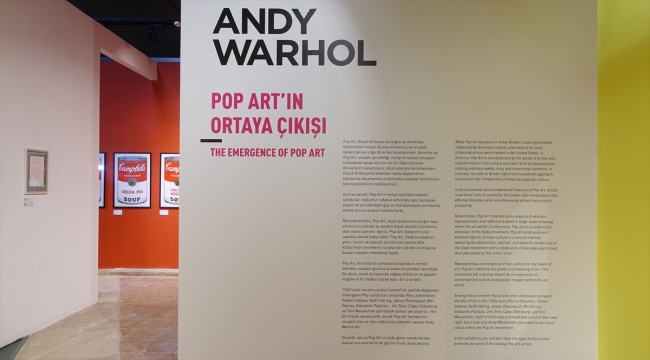 "Andy Warhol-İstanbul" pop-art sergisi ziyarete açıldı