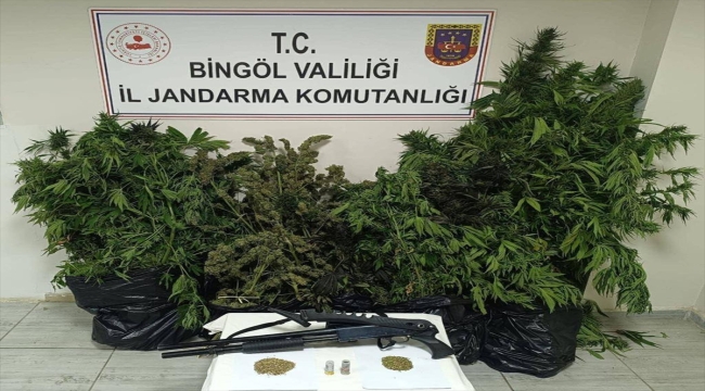 Bingöl'de 50 kilo 998 gram esrar ele geçirildi