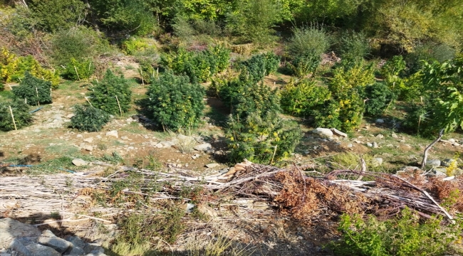 Diyarbakır'da 121 kilo 600 gram esrar ele geçirildi