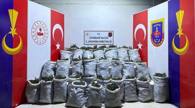 Diyarbakır'da 202 kilogram esrar ve 10 bin kök kenevir ele geçirildi