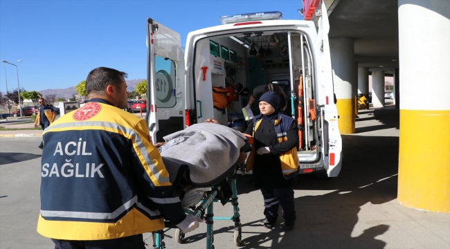 Erzincan'da ayının saldırdığı kişi yaralandı