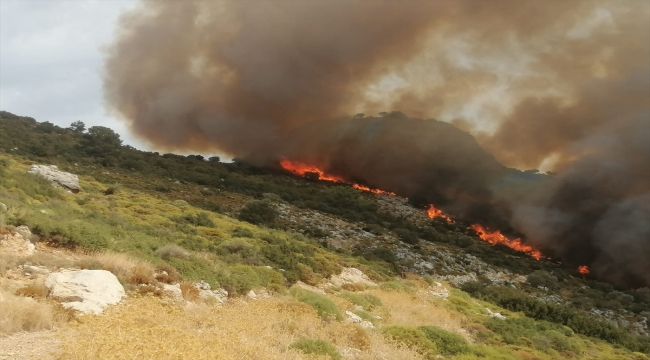 Muğla'da makilik ve tarımsal alanda yangın çıktı