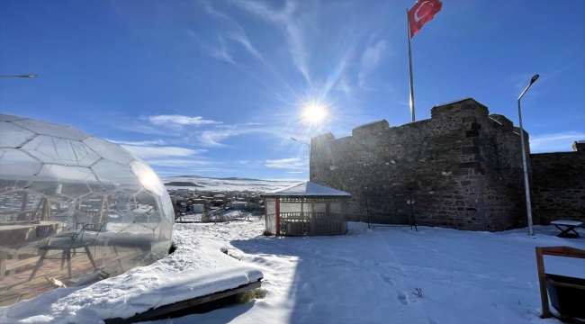 Erzurum, Ardahan, Ağrı ve Kars'ta soğuk hava etkili oluyor