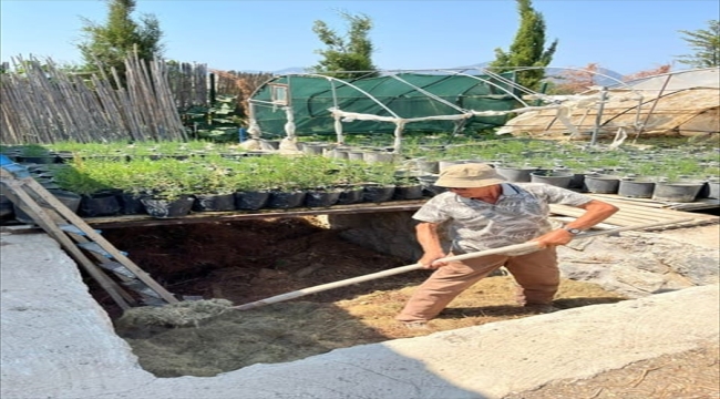 Muğla'da "Doğa Dede"nin bağışladığı fidanlar toprakla buluşuyor