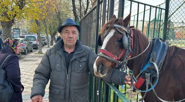 Edirne'de arabaya koşulu at, 5 araca çarptı