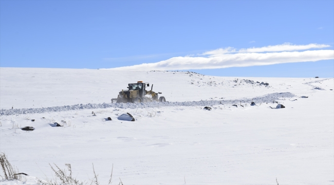 Erzurum, Ardahan, Tunceli ve Kars'ta soğuk hava etkili oluyor