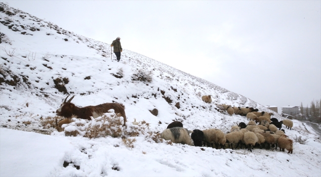 Hakkari'de 22 yerleşim birimine ulaşım sağlanamıyor 