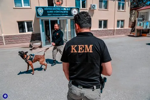 Uyuşturucu Operasyonunda 272 Torbacı Yakalandı
