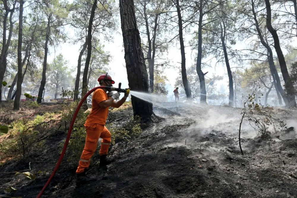 47 İlde Ormanlara Giriş Yasaklandı! İşte Yasak Tarihleri ve Alınan Önlemler